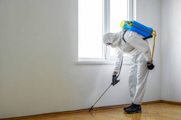 Best Fumigation Services  in Mondovi, WI